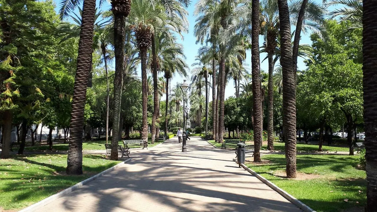 Apartamento Pleno Centro Victoria Parking Gratis Apartment Cordoba Spain
