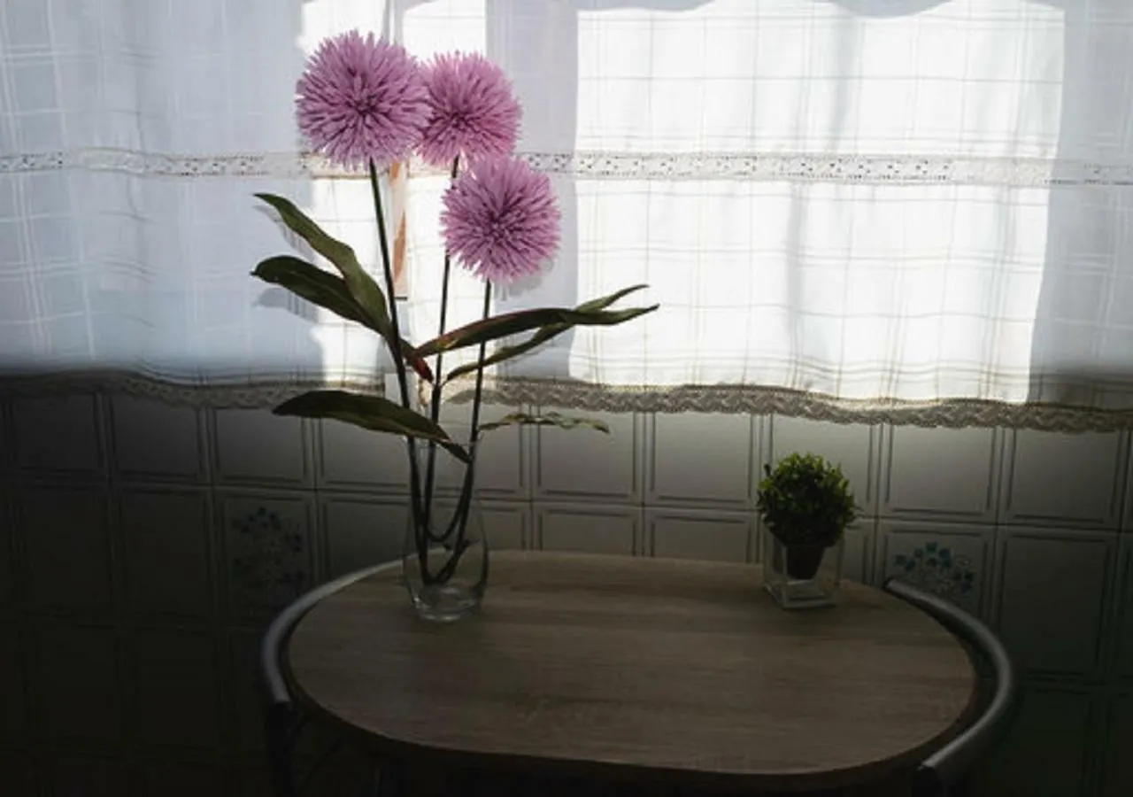 Apartamento Pleno Centro Victoria Parking Gratis Apartment Cordoba Spain